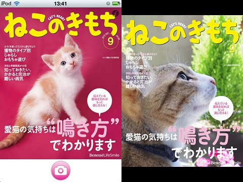 ねこのきもち 創刊号からの３８冊 - その他